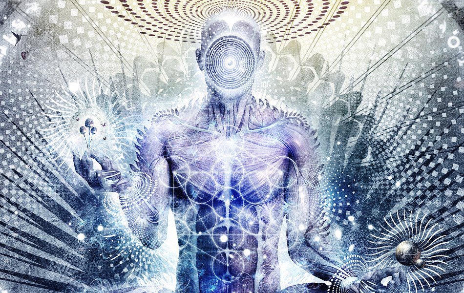 533915_375432269239369_581994131_n