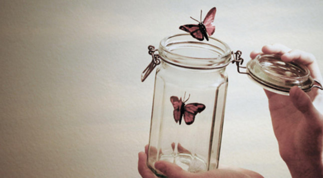 03-borboleta