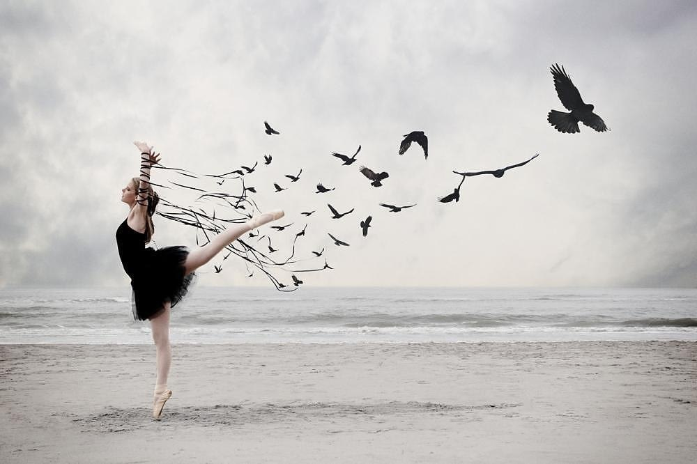 ballet-dance-sea-black-birds-black-amp-white-swan-Favim.com-1405883